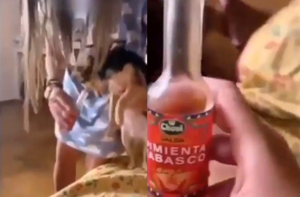 Mujer lanza salsa picante a los ojos de un perro para video de Instagram