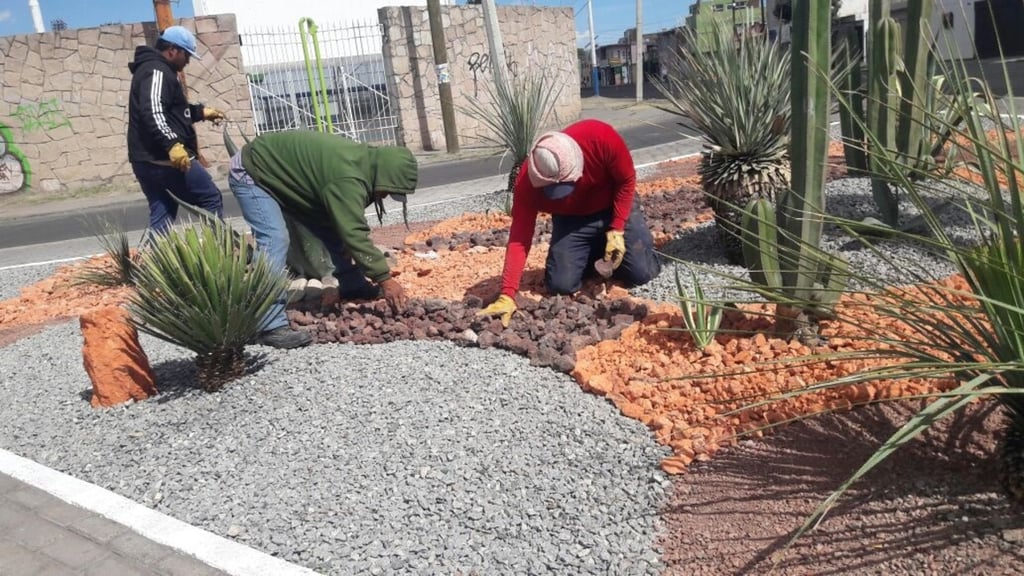 Renovación de jardines en Durango