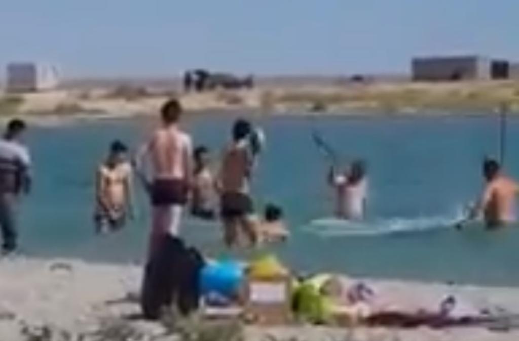 Turistas golpean a foca en la playa para poder tomarse fotos con ella