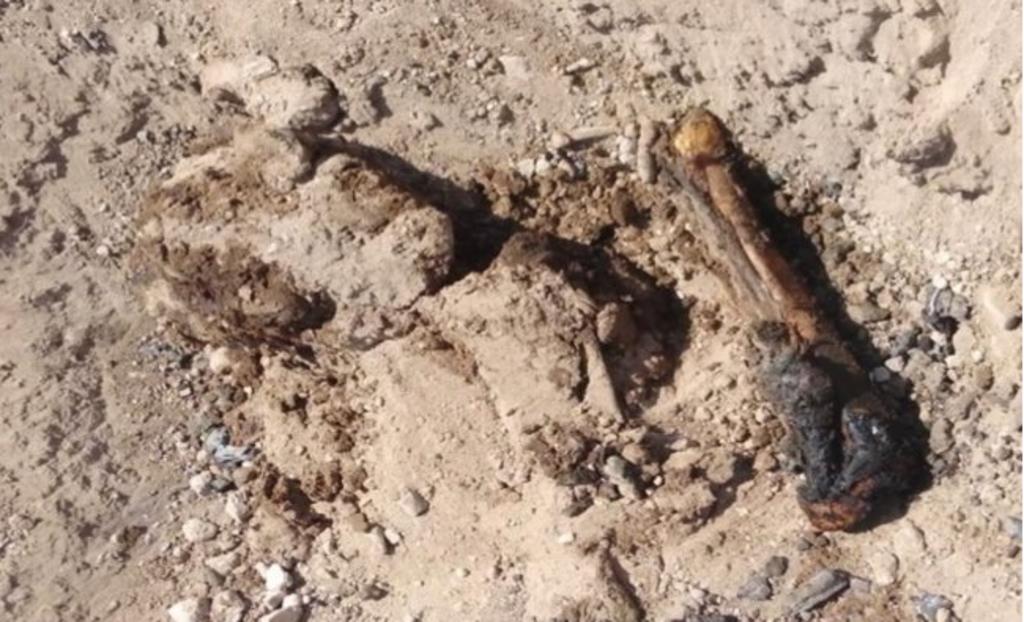 Localizan al menos 18 cuerpos en fosas clandestinas de Sonora
