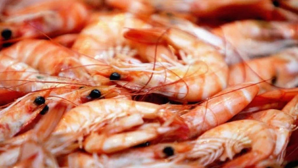 Ecuador cuestiona que COVID-19 sobreviva en camarón exportado