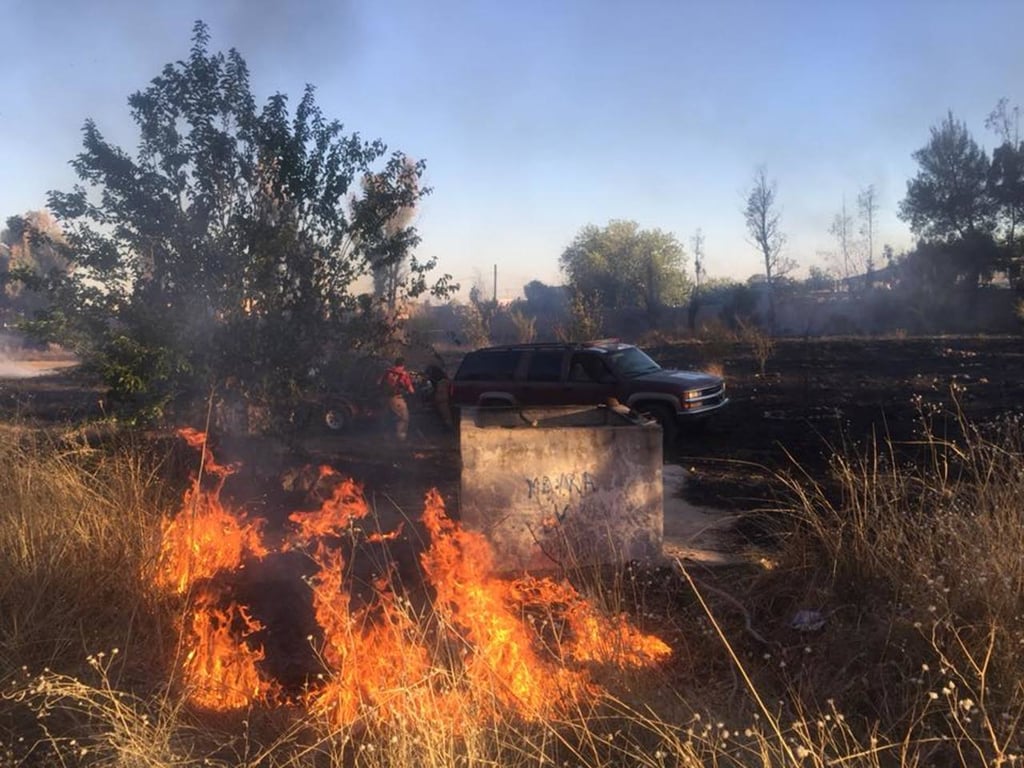 El fuego ha dañado 13 mil hectáreas