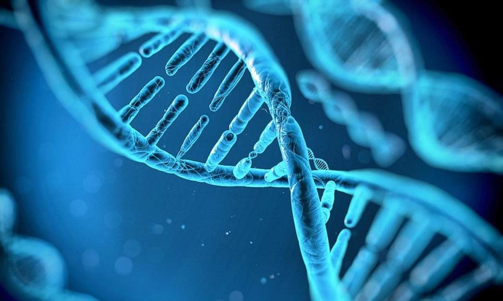 Mejoran científicos la capacidad del ADN para almacenar información