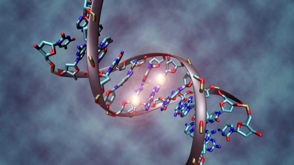 Logran científicos la primera secuencia completa de un cromosoma humano