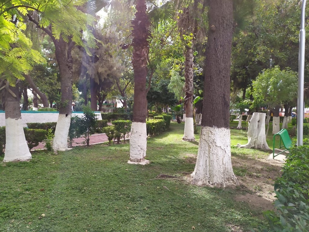 Buscan socializar obra en el parque Morelos