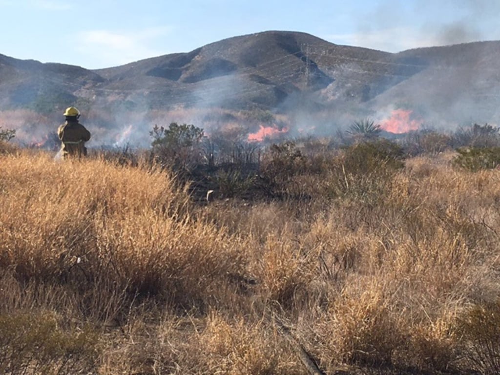 Durango, de los más afectados por incendios