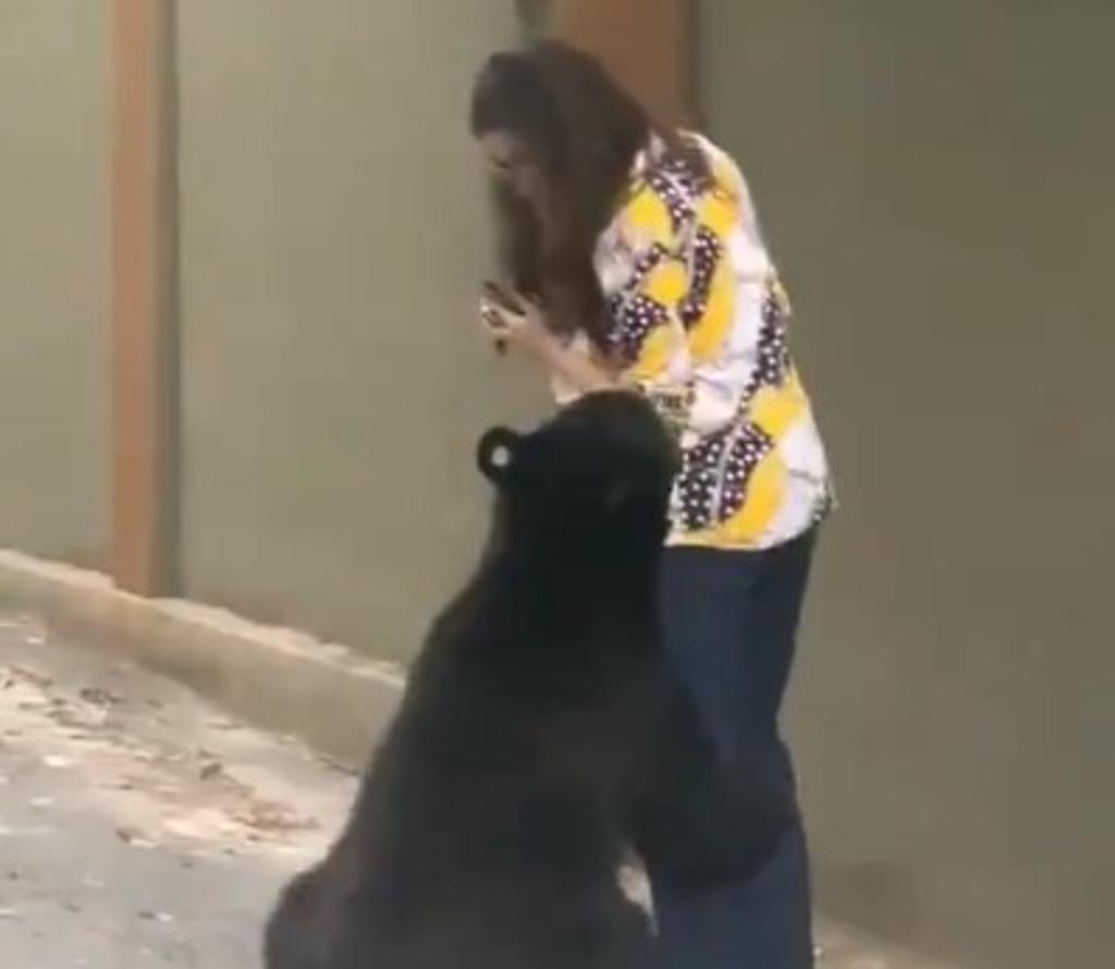 Una vez más... mujer de San Pedro tiene encuentro con oso negro