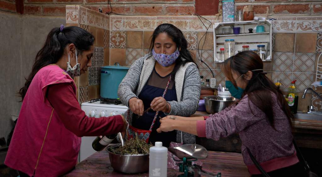 El renacer de las plantas ancestrales en Chiapas para combatir la COVID-19
