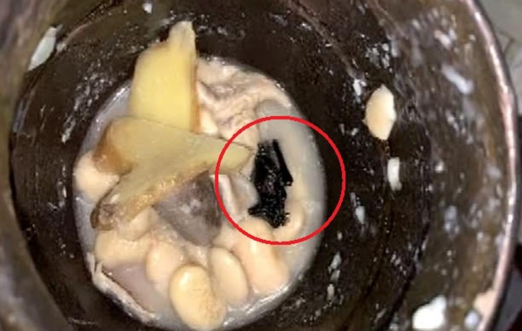 Familia en Wuhan encuentra un murciélago muerto en su sopa