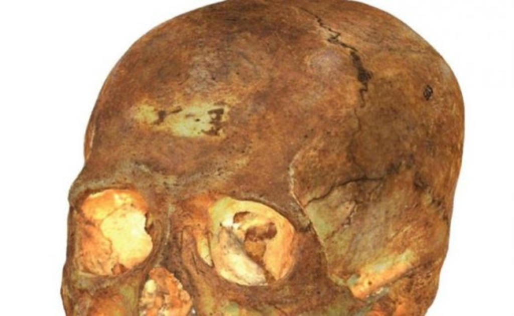 Reconstruyen en 3D cráneos precolombinos del Museo Montané de La Habana