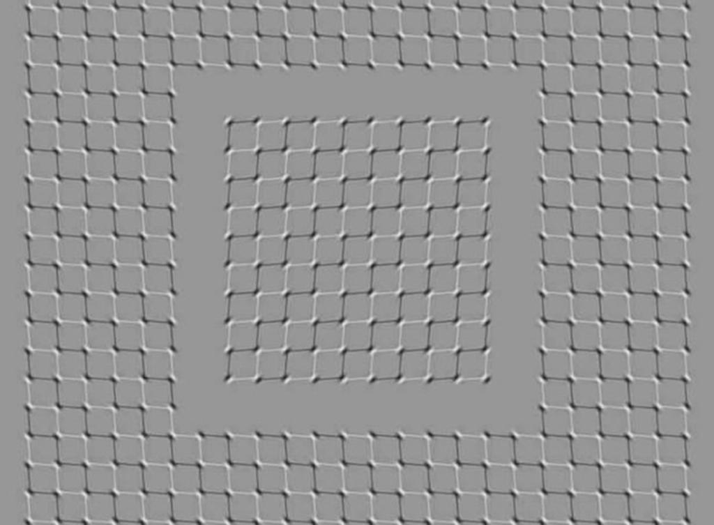 Esta ilusión óptica está dejando a varias personas confundidas