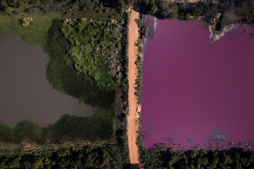 La mitad de un lago en Paraguay se vuelve púrpura