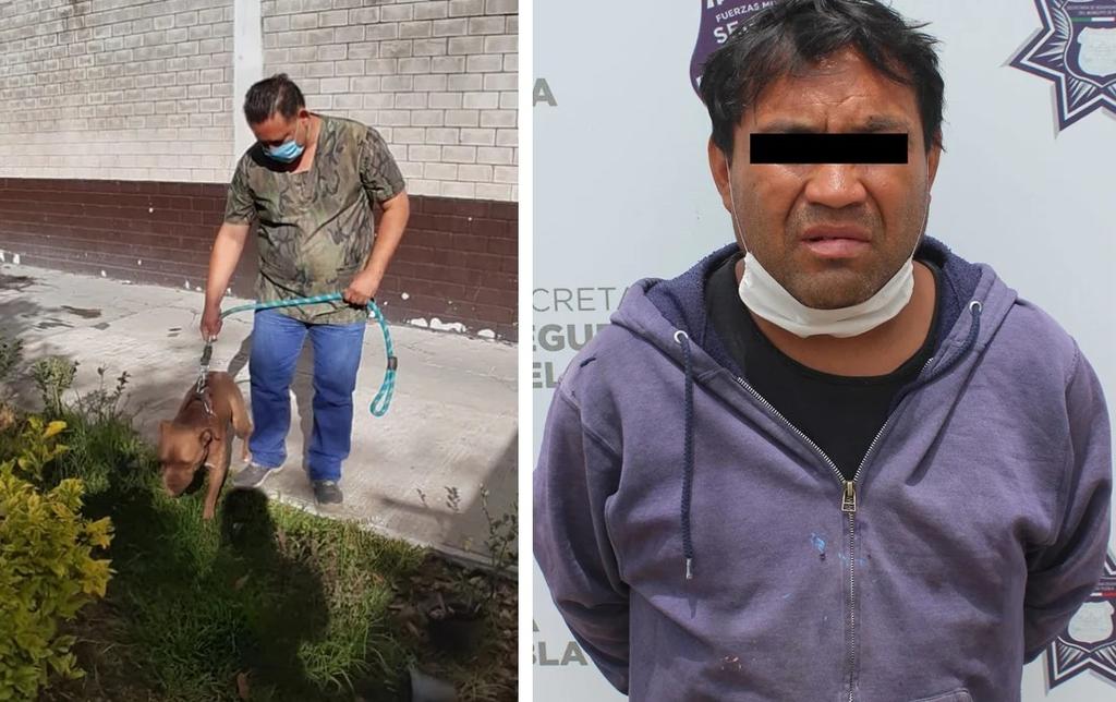Salvan la vida de 'Jack', perro pitbull que fue atacado en Puebla