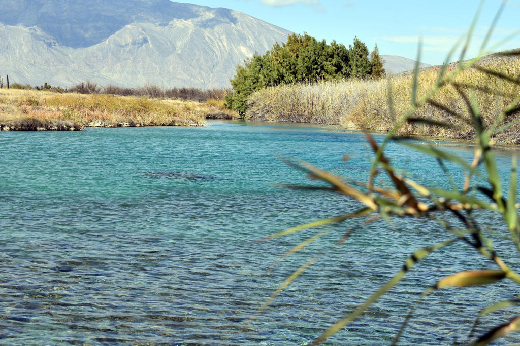 Alistan sanción por invasión a Poza de la Becerra