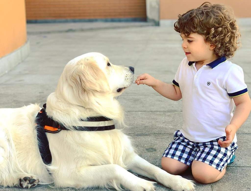 Estos son los mejores perros para niños con autismo