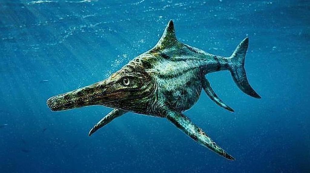 Descubren fósil de ictiosaurio con restos de un reptil dentro