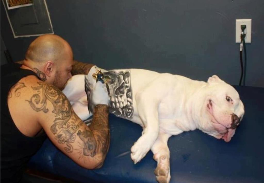 Perros tatuados, la moda que causa indignación en redes sociales