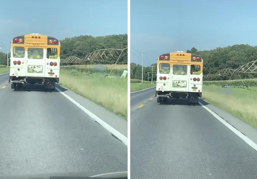 Camión escolar transportando sandías causa confusión