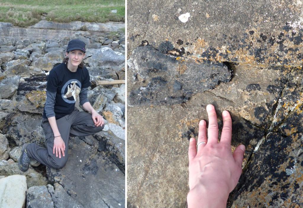 Se topa con fósil de dinosaurio mientras corre por una playa de Escocia