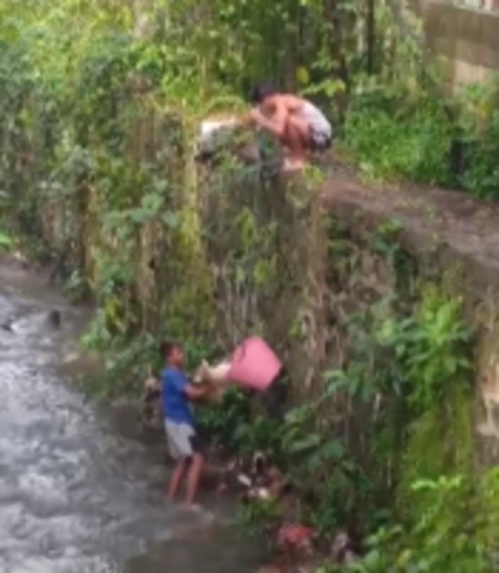Dos adolescentes rescatan a un perro que estaba atrapado en un arroyo