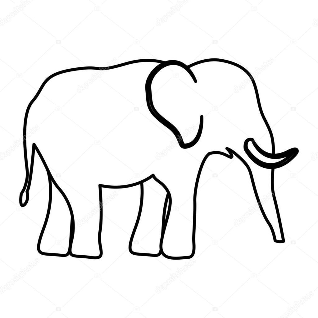 Un elefante blanco