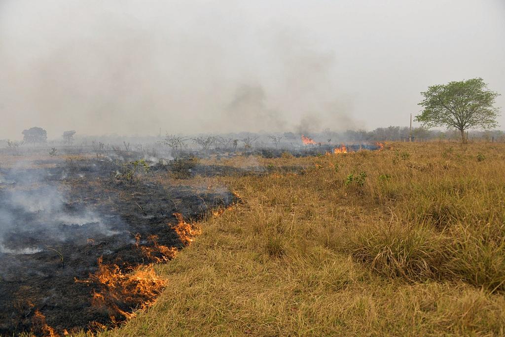 Registra la Amazonía segundo mayor número de incendios en agosto en 10 años