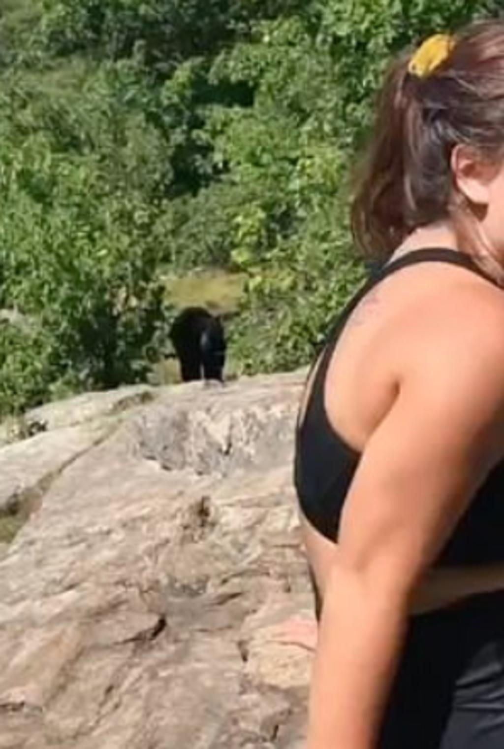 Excursionistas tienen encuentro cercano con un oso negro y se alejan lentamente
