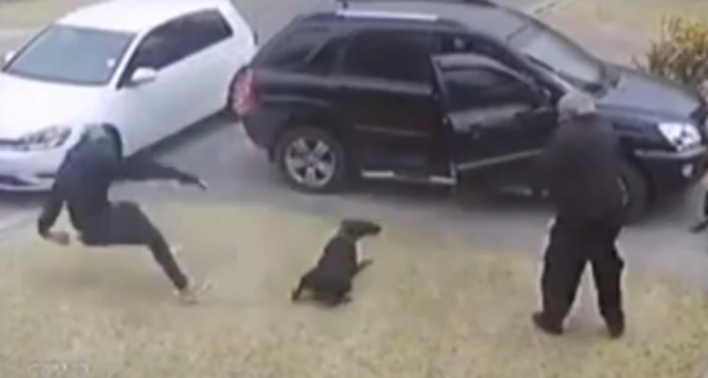 Ladrón le dispara a un perro que intentó defender a su dueño durante un asalto
