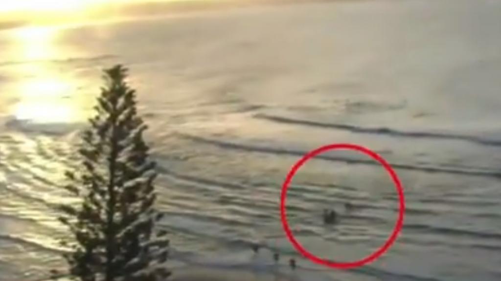 Surfista muere al ser atacado por un tiburón en playa protegida de Australia