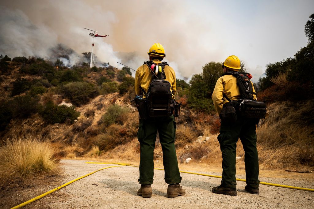 Calculan que fuego ha consumido 1.3 millones de hectáreas en California