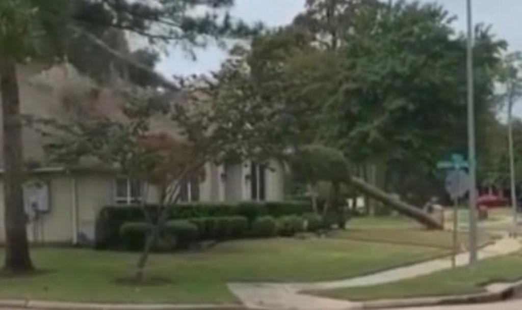 Talador principiante provoca que un árbol cayera encima de una casa