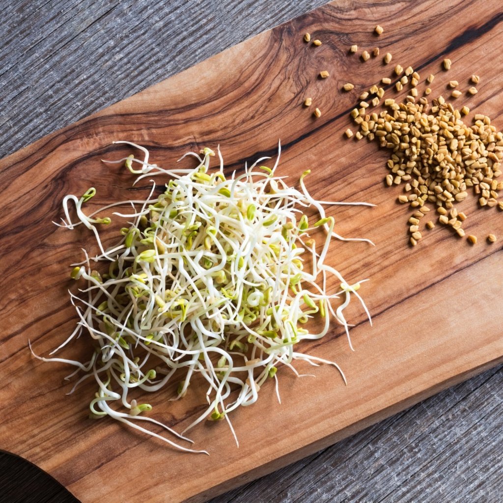 Beneficios de los germinados de lentejas