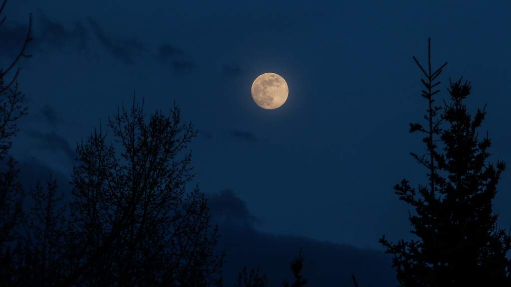¿Cómo se verá la Luna Azul la próxima noche de 'Halloween'?