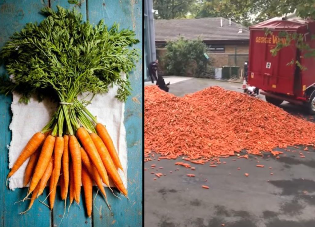 Tiran toneladas de zanahorias en las calles como parte de una instalación artística