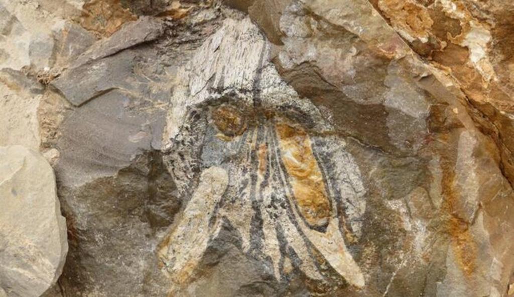 Recuperan ADN de insectos atrapados en resinas fósiles hace millones de años