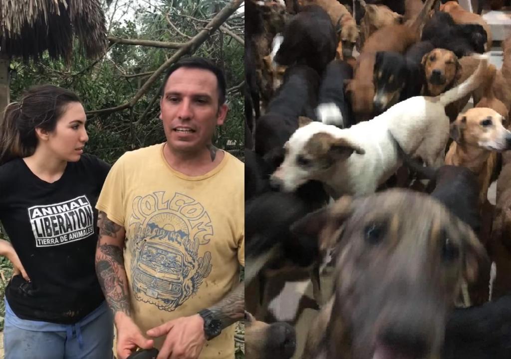 'Necesitamos ayuda'; pide hombre que resguardó a 300 perros durante 'Delta'