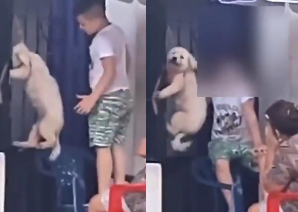 Niño cuelga a perro del cuello e imágenes indignan en redes