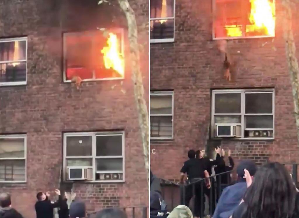 Gato brinca de un edificio para salvarse de un incendio