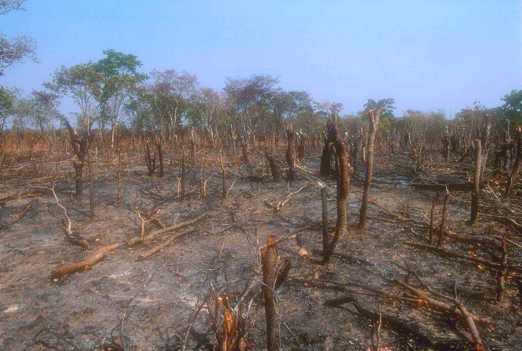Alerta ONU sobre graves efectos del cambio climático en África