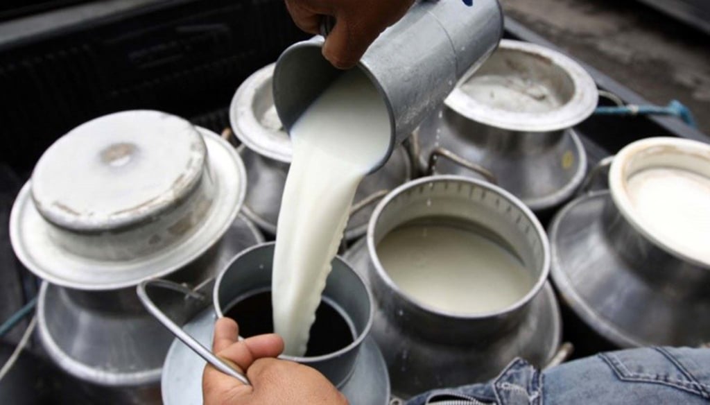 Producción de leche sigue en aumento
