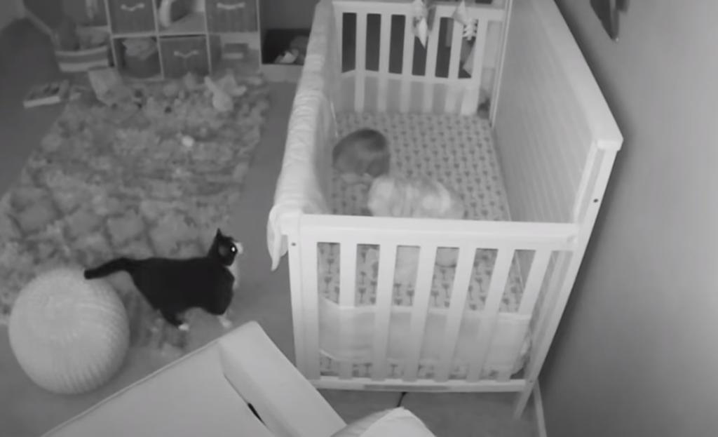 VIRAL: Bebé 'conversa' con gato negro desde su cuna