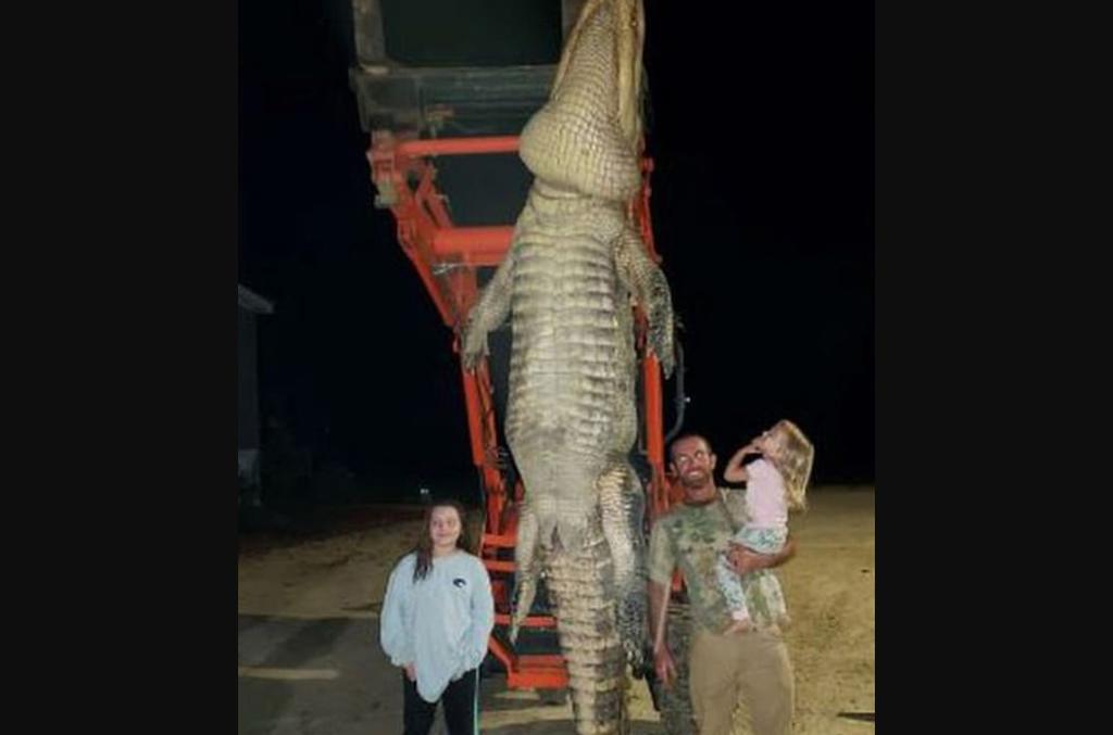 Hombre caza cocodrilo de casi 4 metros por no dejarlo pescar