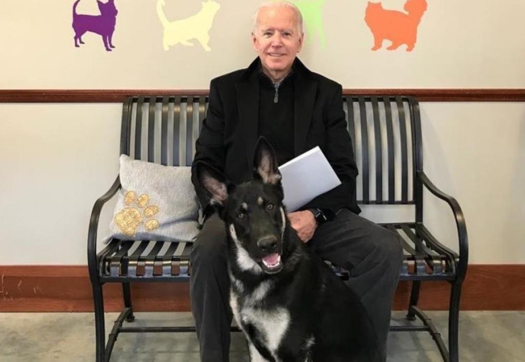 Major, el primer perrito adoptado que vivirá en la Casa Blanca