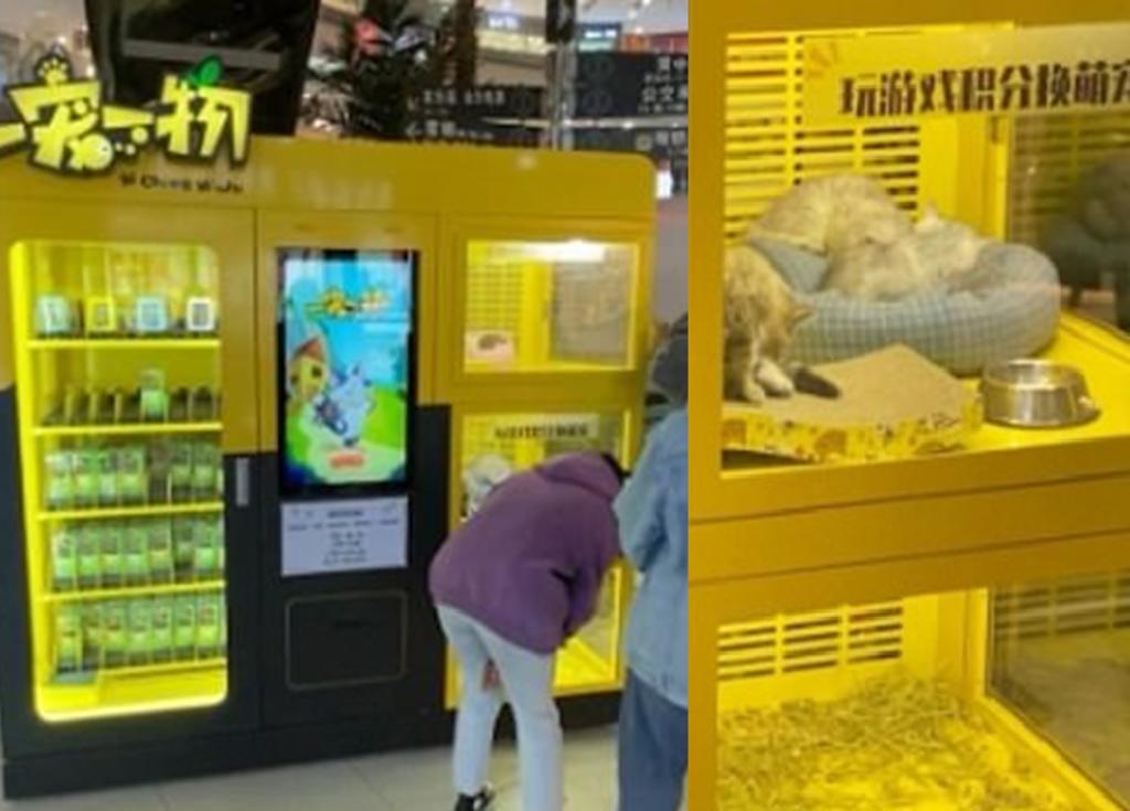 Máquina expendedora en China ofrece cachorros de verdad como premio