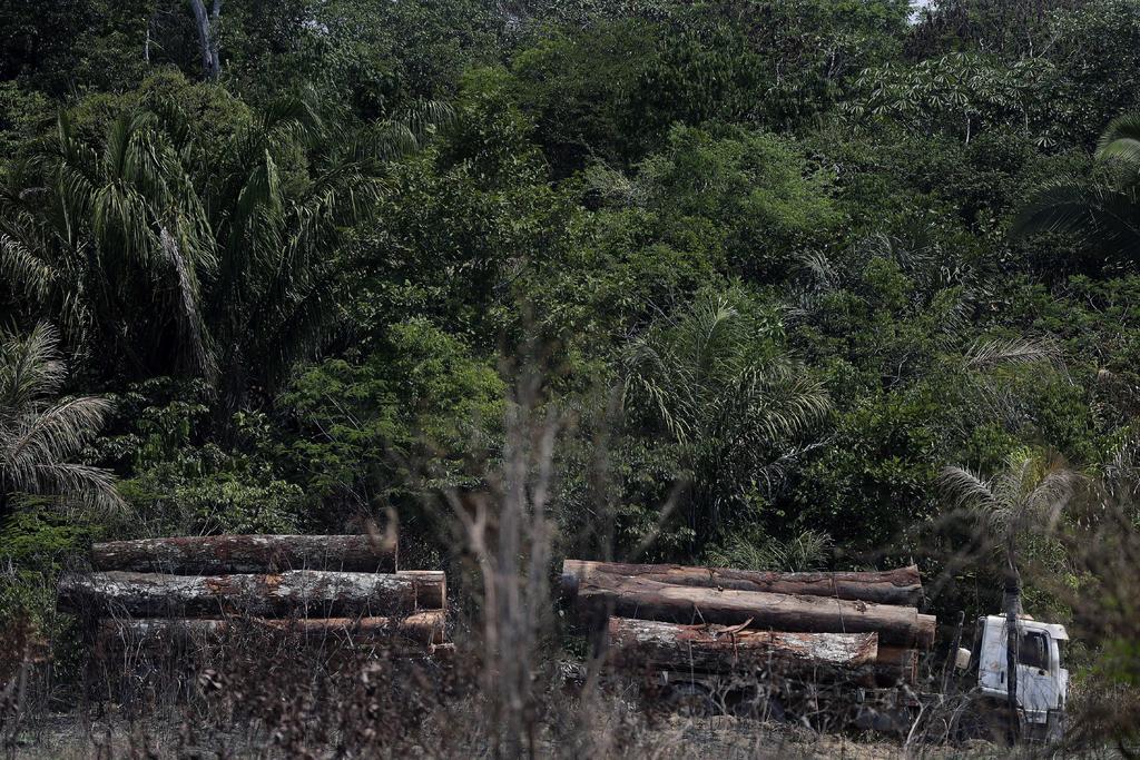 Deforestación en la Amazonía brasileña en octubre fue la mayor en 6 años