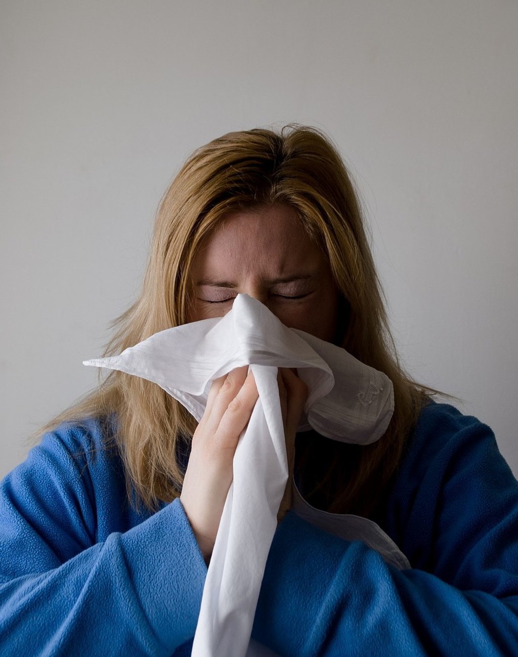 Focos de alergia en el hogar