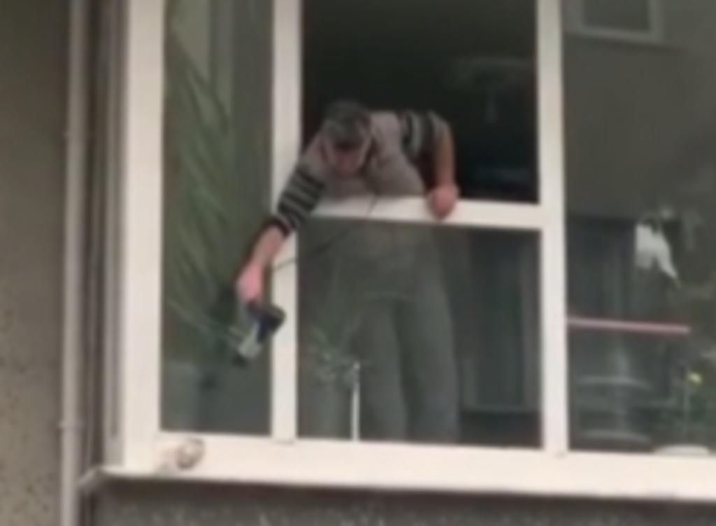 Hombre utiliza una secadora para salvar a una paloma mojada de congelarse