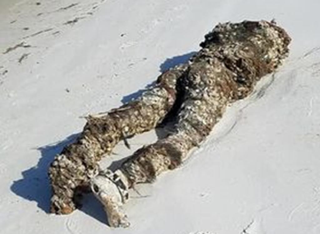 ‘Hombre decapitado’ en una playa de Florida era un maniquí