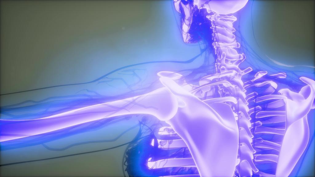Crea UNAM biomateriales para regenerar piel y huesos