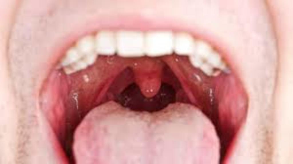Revela estudio cómo se produce la saliva